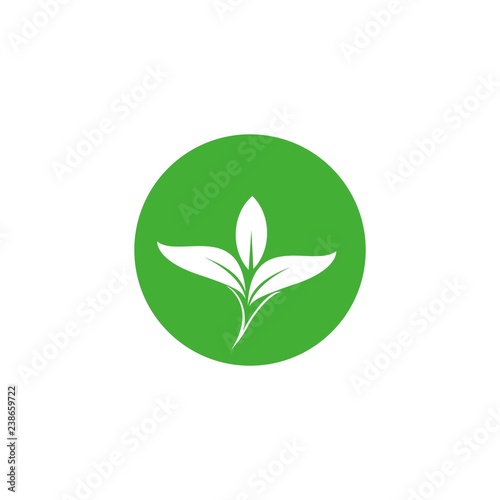 leaf logo design in the circle vector