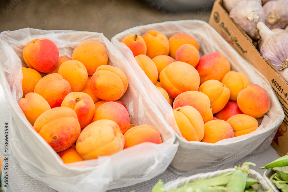 apricots at farmer's market apricots at farmer's market