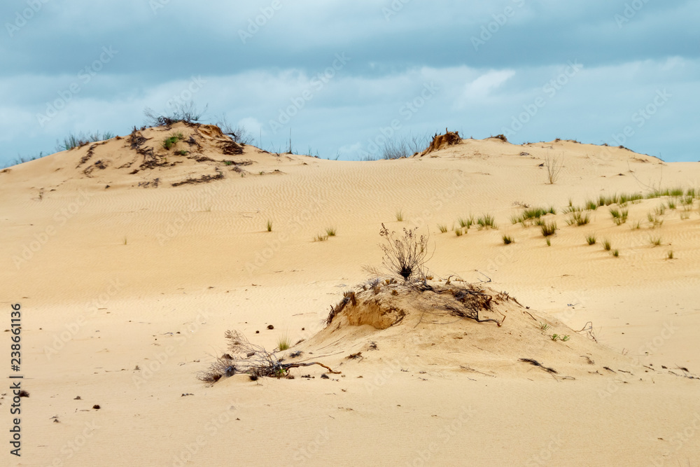 The view of the sandy desert land with the poor dry vegetation on small hills