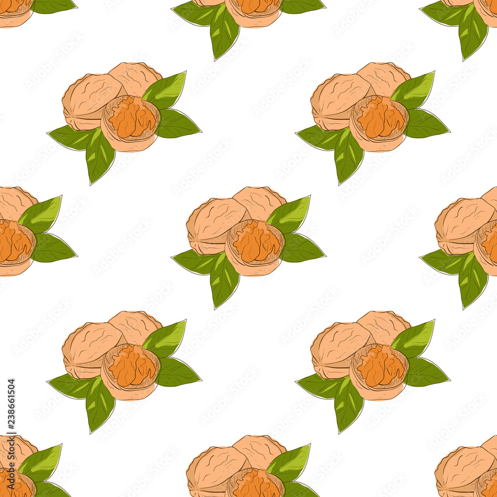 Obraz premium Walnut. Dried. Wallpaper, texture, background. Seamless. Sketch