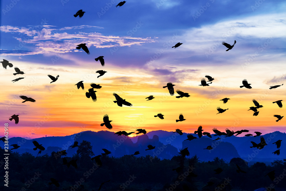 Obraz premium birds flying back home