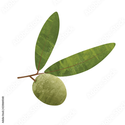 water colour olive and leaves