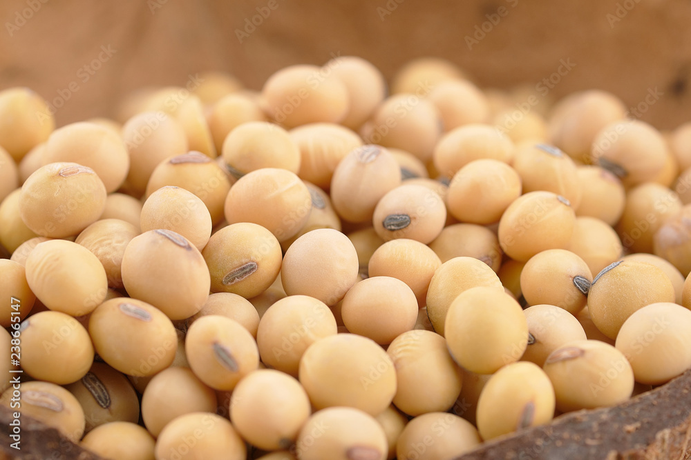 packshot photography of soybean in Coconut shell. packshot photography of soybean in Coconut shell.