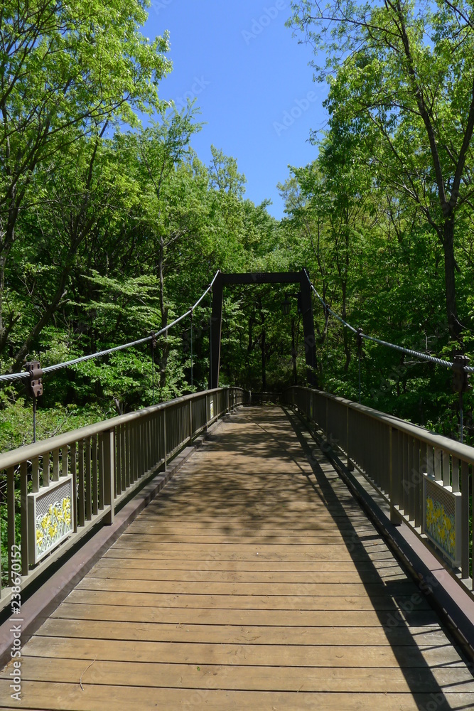 公園の吊り橋