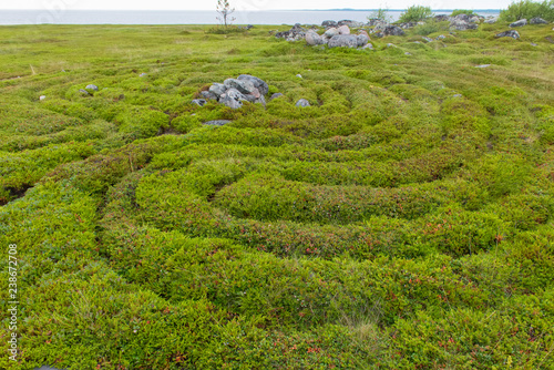 Stone labyrinths on the Bolshoy Zayatsky Island. Solovetsky archipelago, White Sea, Russia