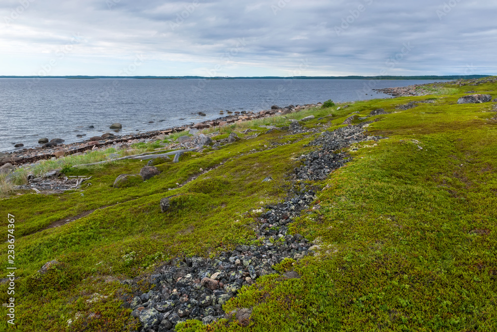 Bolshoy Zayatsky Island. Solovetsky archipelago, White sea, Russia