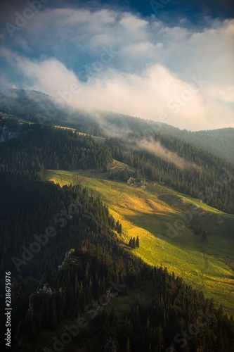 Summer morning landscape in the mountains,evergreen trees,cloudy sky.