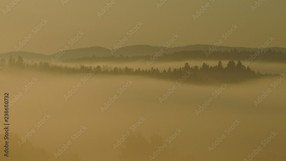 Fototapeta premium Misty landscape in the San Valley. Bieszczady Mountains. Poland