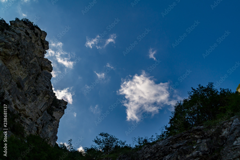 Uno sguardo in su dal sentiero 201 da val d'abisso al monte Nerone Uno sguardo in su dal sentiero 201 da val d'abisso al monte Nerone
