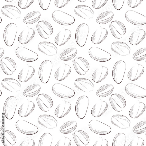 Pistachio. Black and white image. Background, wallpaper, texture. Sketch.