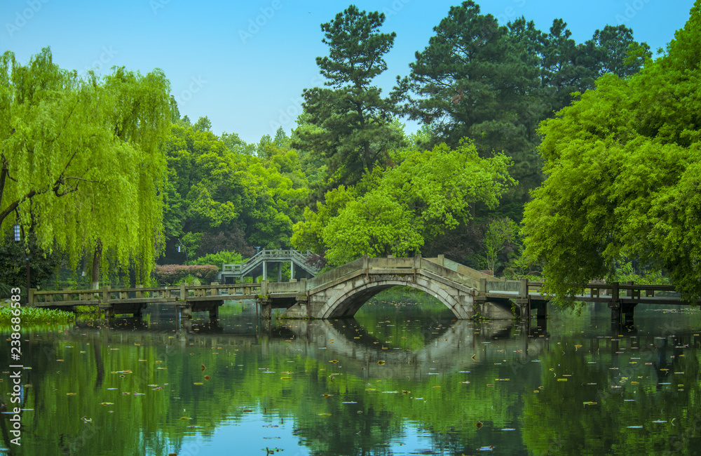 Bridge in the park of Hangzhou