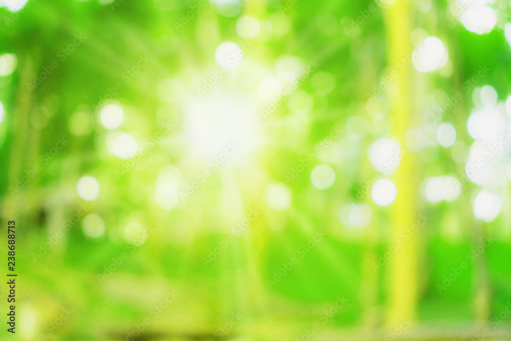 Obraz premium Blur nature bokeh green park by beach and tropical coconut trees