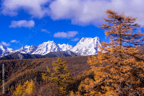 雲南省の秋の雪山