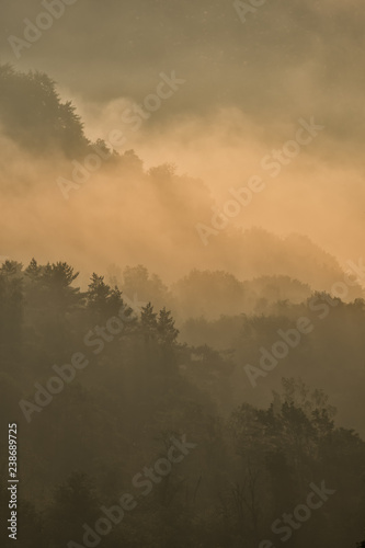 Misty landscape in the San Valley. Bieszczady Mountains. Poland © Szymon Bartosz