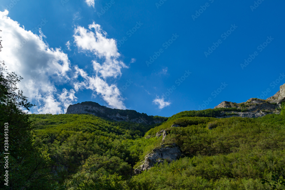 Montagne e boschi visti dal sentiero