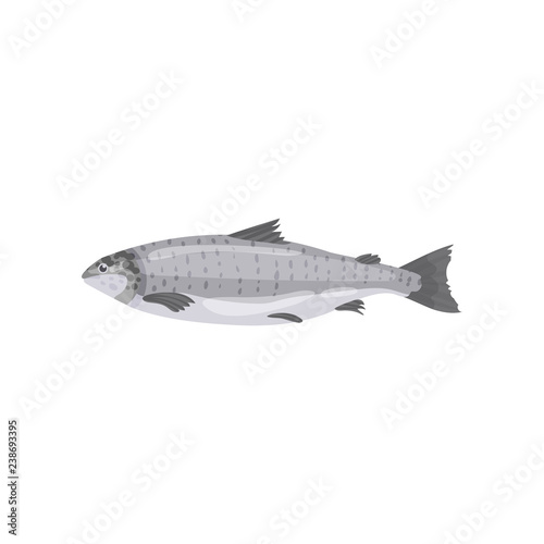 Detailed flat vector icon of fresh salmon fish. Tasty marine product. Seafood theme