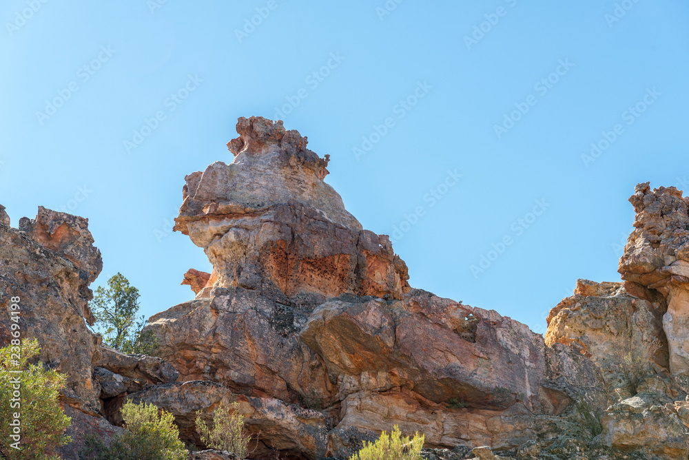 Rock formation, resembling a frog, at Truitjieskraal