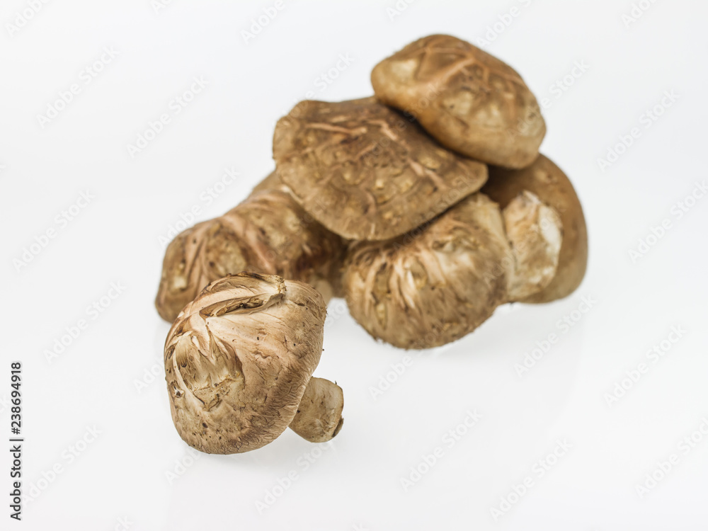 Shiitake Mushroom isolated on white Shiitake Mushroom isolated on white