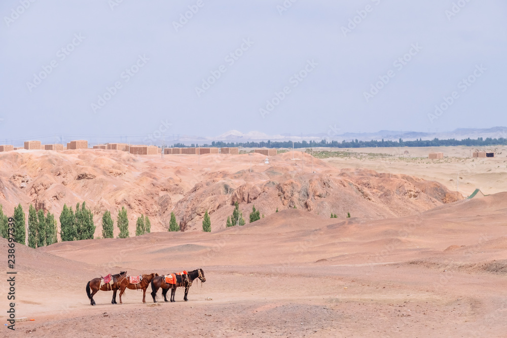 Horses in gobi desert at the historical site of Yang Pass, in Yangguan, Gansu, China Horses in gobi desert at the historical site of Yang Pass, in Yangguan, Gansu, China