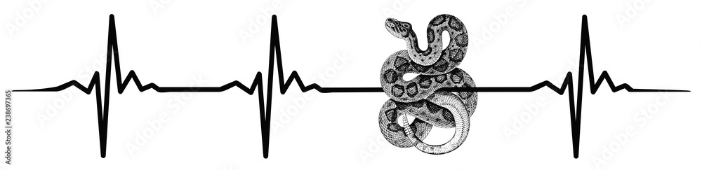 Obraz premium Snake heartbeat #isoliert #vektor - Schlange Herzschlag