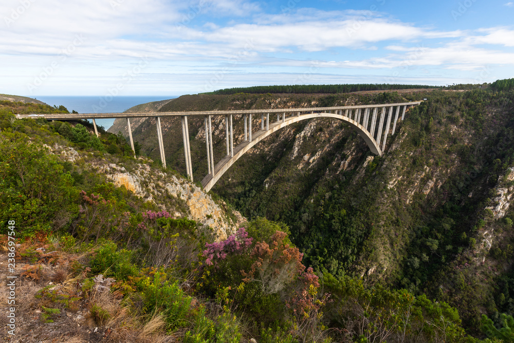 With 216 meter over ground, the Bloukrans Bridge is the highest bridge in Africa.