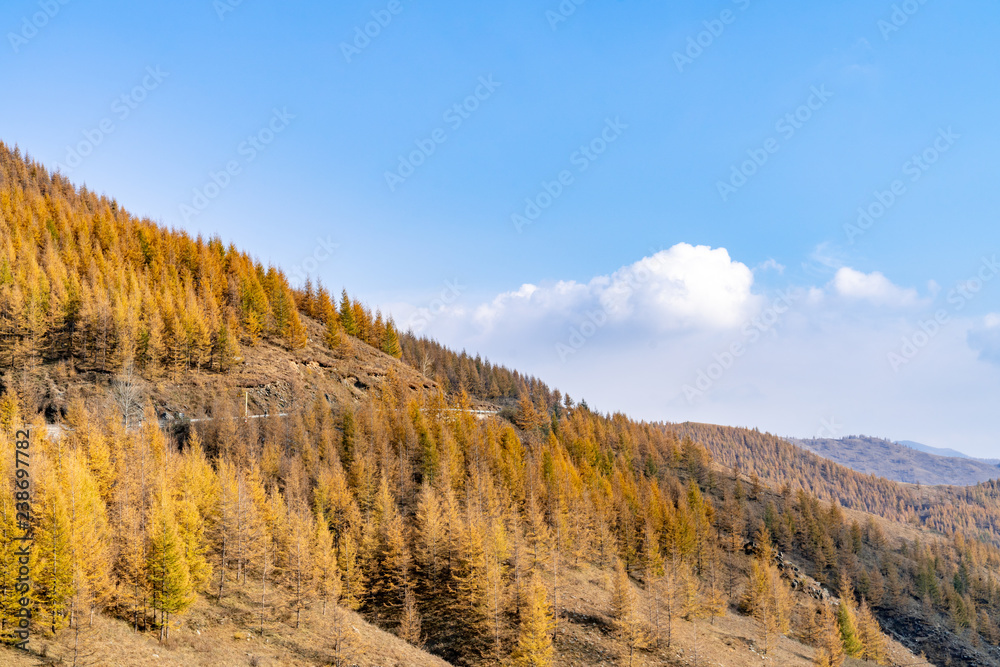 Mountains and forests in autumn