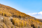 Mountains and forests in autumn