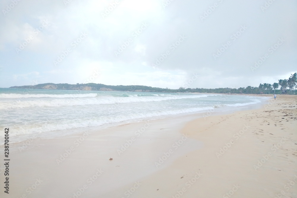 beach and sea