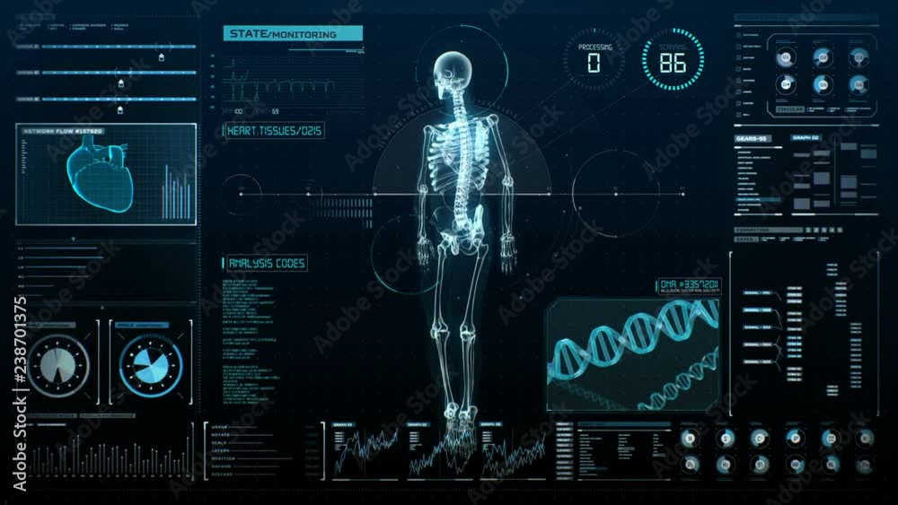Rotating Human skeletal structure in digital display, UI, Scanning bone ...