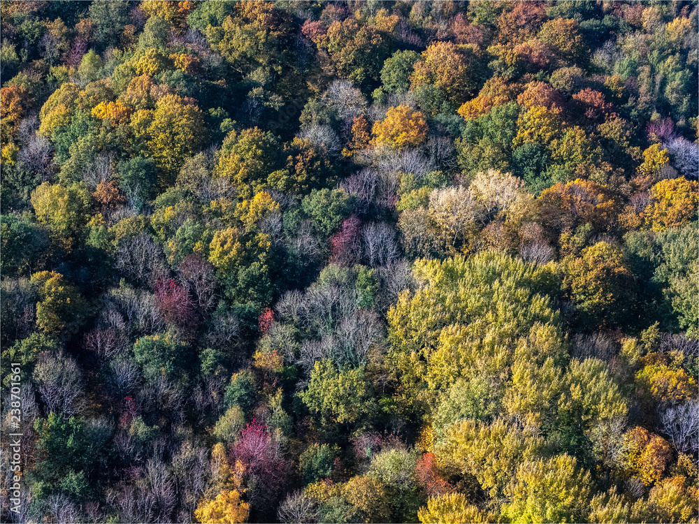 vue aérienne de la forêt en automne à Juziers dans les Yvelines en France vue aérienne de la forêt en automne à Juziers dans les Yvelines en France