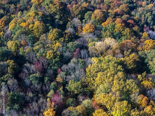 vue aérienne de la forêt en automne à Juziers dans les Yvelines en France