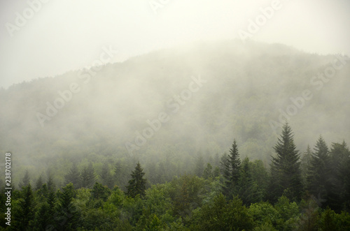 fog in the mountains © Oksana