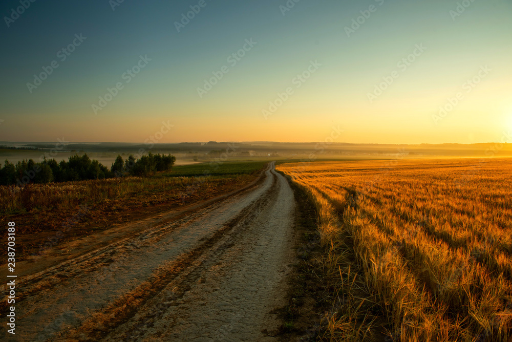 Naklejka premium Road near Rye field at sunrise