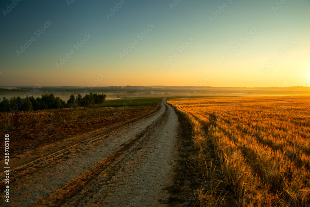 Road near Rye field at sunrise