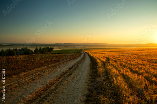 Road near Rye field at sunrise