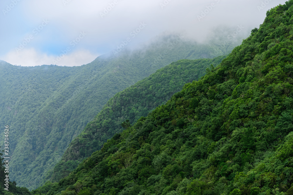 Forested mountains in a fog. Madeira, Portugal
