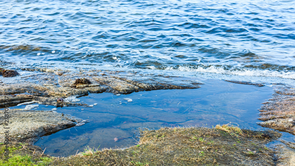 Small and shallow rock pool in rocky shoreline.