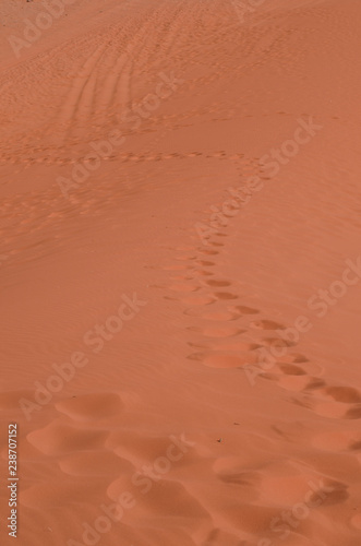 Wüste Wadi Rum, Jordanien