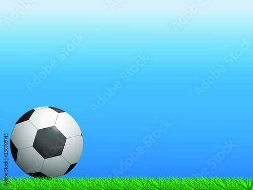 Soccer ball on the grass on a blue background.Vector illustration
