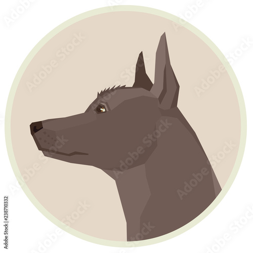 Dog collection Xoloitzcuintli Mexican Hairless Dog Geometric style Avatar icon round