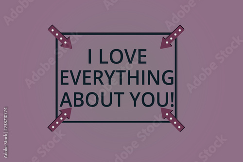 Handwriting text I Love Everything About You. Concept meaning Expressing roanalysistic feelings and emotions Square Outline with Corner Arrows Pointing Inwards on Color Background
