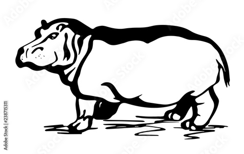 Hippopotamus line drawing