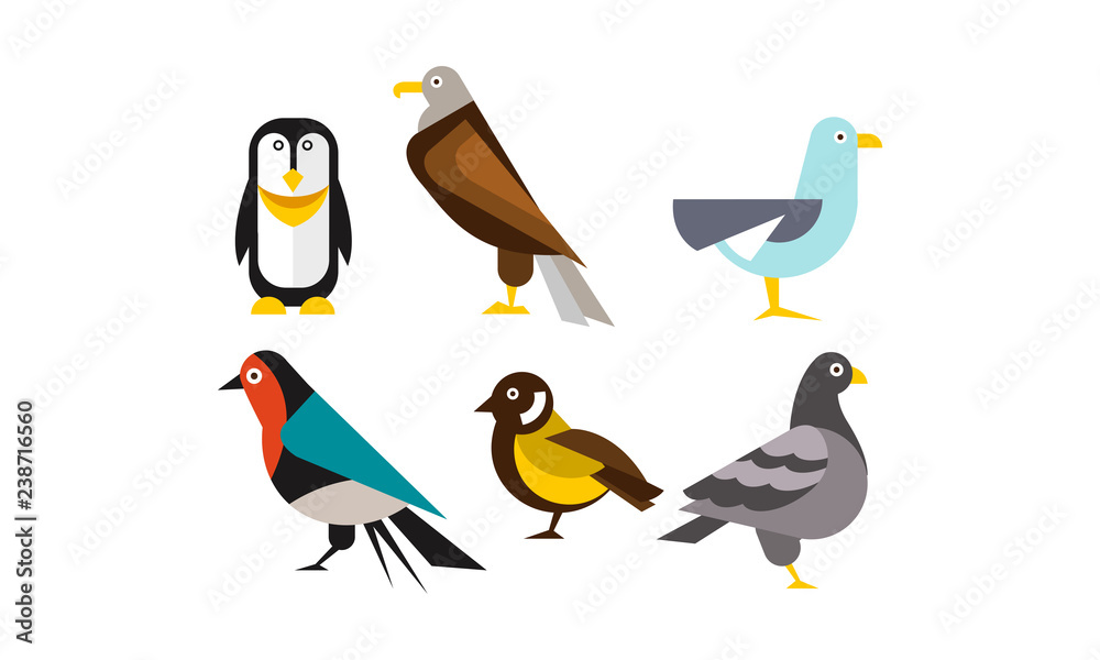 Fototapeta premium Birds set, penguin, eagle, gull, pigeon vector Illustration