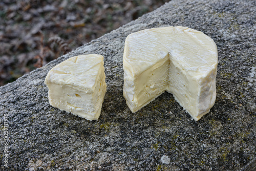 Fromage / Rollot fermier photo