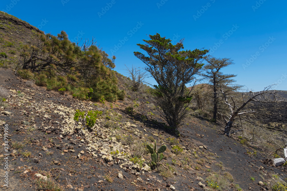 Canary islands lanzarote volcano landscape sunny day Canary islands lanzarote volcano landscape sunny day