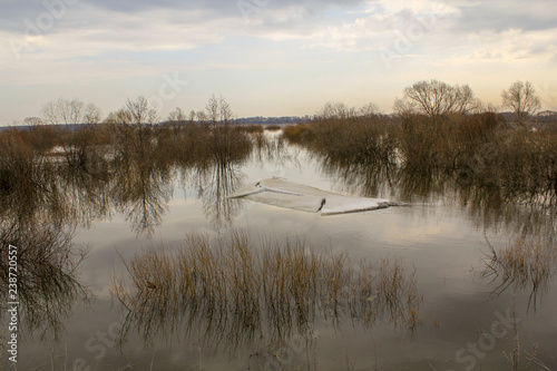 water Tranquility lake Plant sky tranquil scene beauty in Nature Reflection scenics cloud Tree no people non-urban 