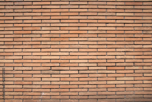 Perfect brick wall texture. Lights and shadows very equlibrate. A brick wall with very regular geometries. The porosity of the bricks and their alignment is sublimated by the diffused light.