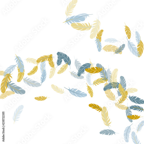 Falling feather elements soft vector design.