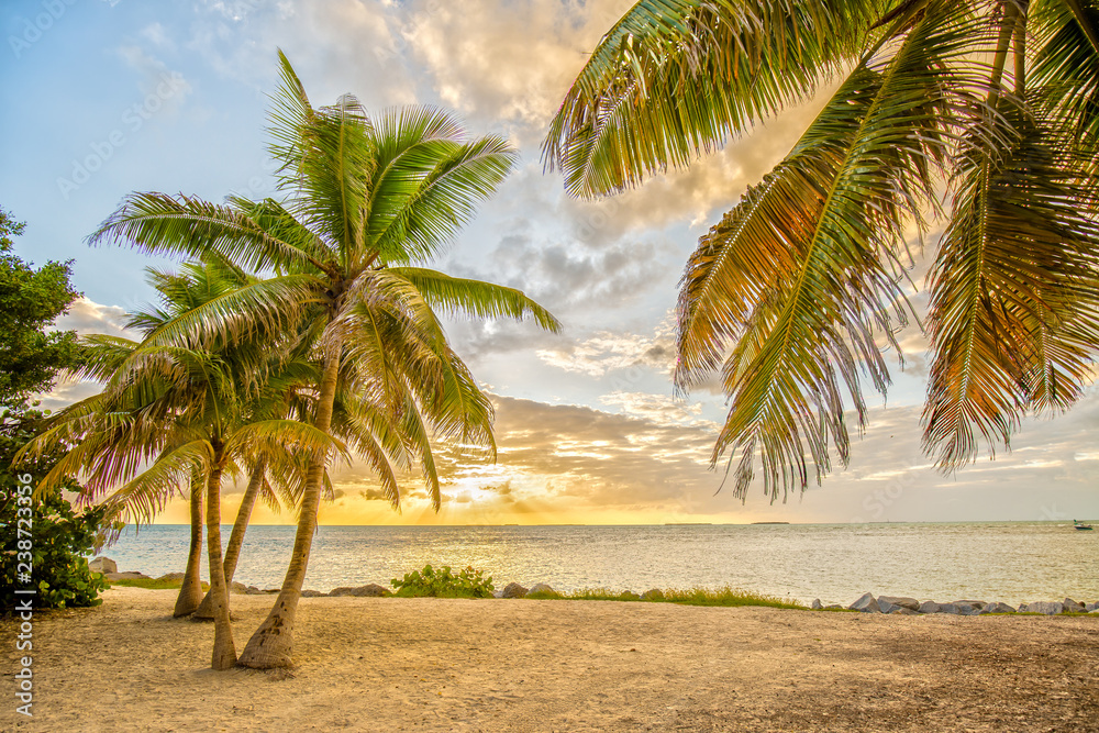 Sunset under Palms at Fort Zachary Taylor Historic State Park in Florida Sunset under Palms at Fort Zachary Taylor Historic State Park in Florida