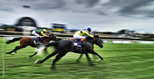 Obraz Czarna piękność